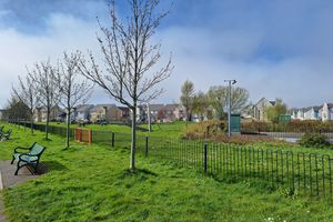 Local Park- click for photo gallery